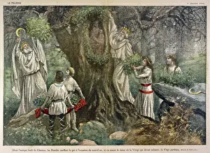 Chartres: French Druids