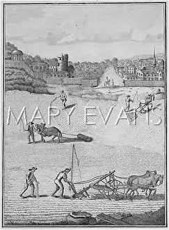 Harrowing: FRENCH FARM OPERATIONS