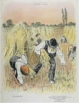 Gleaning: FRENCH GLEANERS