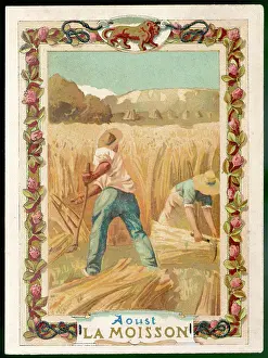 Harvesters: FRENCH HARVESTERS