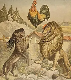 Wooed: FRENCH HEN WOOED/1903