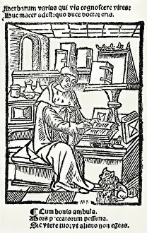 Herbalist: French Herbalist Marcus Floridus