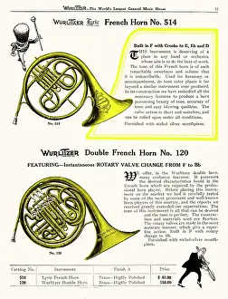 Wurlitzer: FRENCH HORN (WURLITZER)