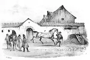 Marchand: FRENCH HORSE-TRADER