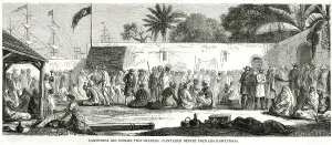 Indentured: French Import Non-Slave Labour to Guadeloupe