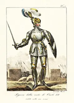 Hauberk: French kinght in armour, 15th century