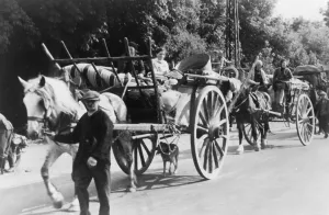 Fled: French peasant refugees, 1940