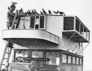 French pigeon communications WWI