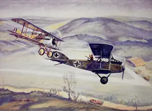 Hubbell: French Pilot Captain Georges Guynemer