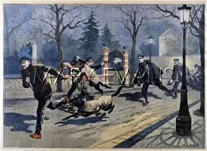 Hooligans: FRENCH POLICE DOGS