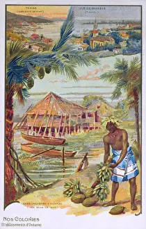 Coconuts: French Polynesia - Leeward Islands and Tahiti