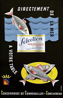 Concarneau: French poster, advertisement for tinned fish