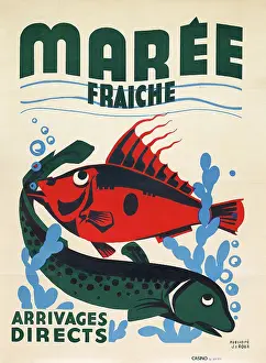 The Kiki Werth Poster Collection: French poster, freshwater fish