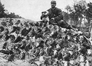 Catchers: French rat catcher, 1916, WW1
