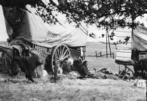 Frenchmen: French refugees in the countryside, 1940