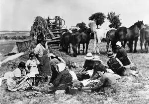Fled: French refugees in a field, 1940