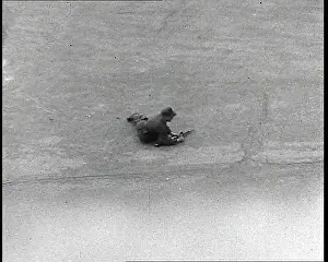Prone: French Resistance Fighter Lying Prone On the