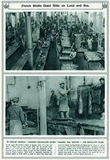 Defects: French shells used on Land and Sea WWI
