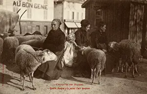 Genie: French Sheperdesses and their Sheep