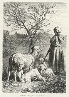 Shepherdess: FRENCH SHEPHERDESS