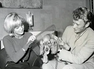 Cocker: French Singer Johnny Hallyday