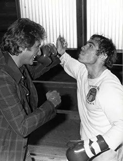 Karate: French Singer Johnny Hallyday