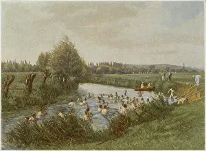 Convenient: FRENCH SOLDIERS SWIMMING