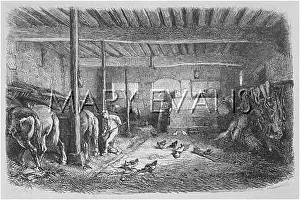 Mucking: FRENCH STABLES 1858