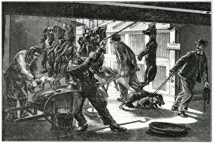 Stray: FRENCH STRAYS DESTROYED