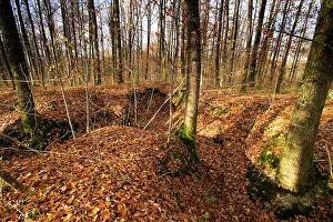 Battled: French trenches in the Argonne