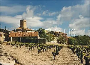 Shirley Evans: FRENCH VINEYARD
