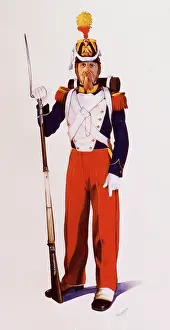 Voltigeur: French Voltigeur