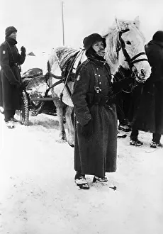 Francais: French volunteers on the Eastern Front, 1941