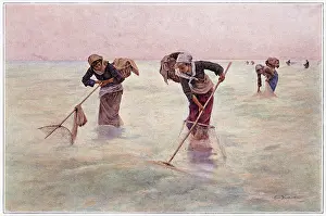 Shrimping: French Women Shrimping