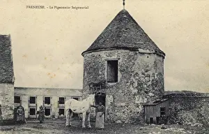 Manorial: Freneuse, France - The Pigeon