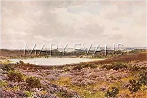 Frensham: FRENSHAM POND/SURREY