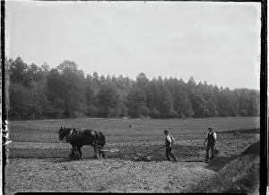 Planters: Frensham, Waverley, Surrey