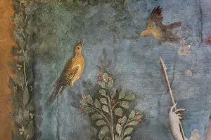 Venere: Fresco, House of Venus in the Shell, Pompeii