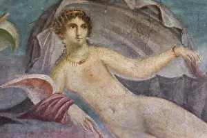 Venere: Fresco, House of Venus in the Shell, Pompeii