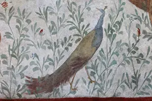 Lararium: Fresco, Lararium, House of the Cryptoporticus