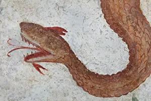Lararium: Fresco, Lararium, House of the Cryptoporticus