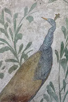 Annunziata: Fresco, Lararium, House of the Cryptoporticus