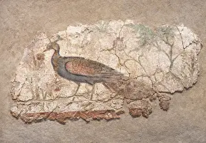 Juno: Fresco, Museo Arqueologico Nacional, Tarragona, Catalonia, Spain
