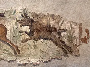 Hound: Fresco, Museo Arqueologico Nacional, Tarragona, Catalonia, Spain