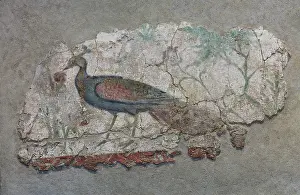 Mnat: Fresco, Museu Nacional Arqueologic de Tarragona, Spain