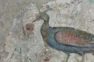 Citerior: Fresco, Museu Nacional Arqueologic de Tarragona, Spain