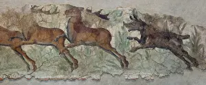 Citerior: Fresco, Museu Nacional Arqueologic de Tarragona, Spain