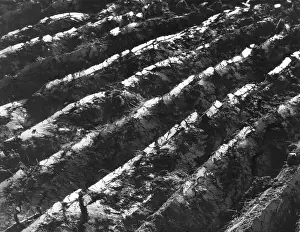 Furrows: FRESH FURROWS