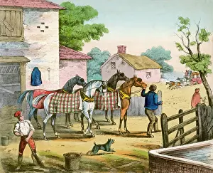 Stagecoaches: Fresh horses for a stagecoach