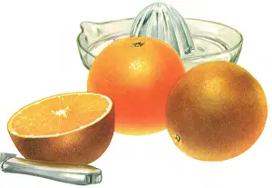Citrus: Fresh Oranges